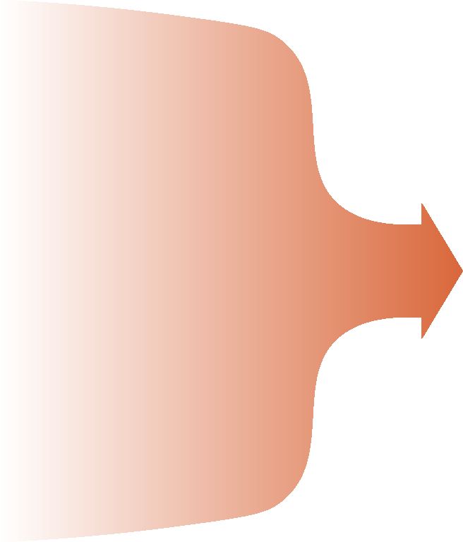 Callable coaching profile asset
