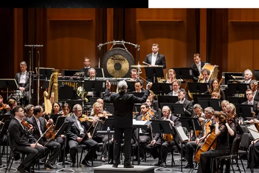 Knowledge orchestration